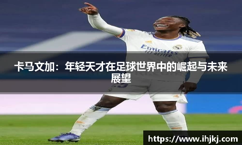 完美体育365平台官网